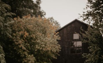 Tips on Keeping Your Twitter