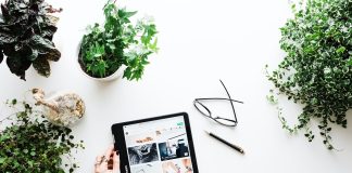 Ecommerce Stores