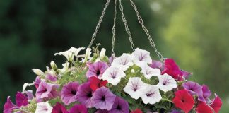Artificial Hanging Baskets