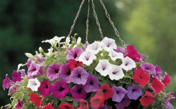 Artificial Hanging Baskets