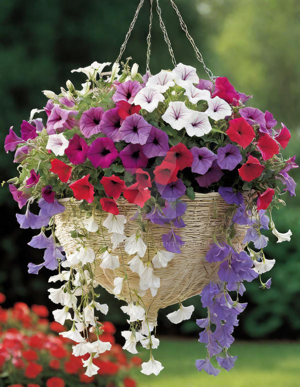 Artificial Hanging Baskets