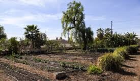 Donating Vacant Land to End Poverty