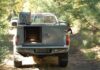 Revolutionize Your Ride: Custom Dog Boxes, Ute Trays, and Aluminium Canopies Custom Dog Boxes
