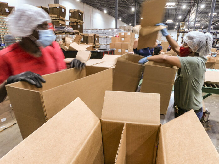 Essential Tips for a Stress-Free House Move: Plan of Removal, Professional Packing Services, and More Packing Services