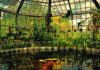 Botanica