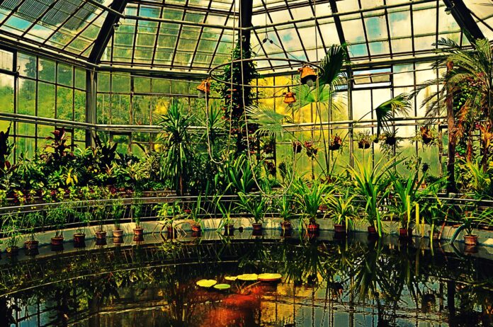 Botanica