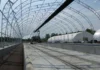 Fabric Building Structures in Canada: Versatile, Durable, and Cost-Effective Solutions Fabric Building Structures