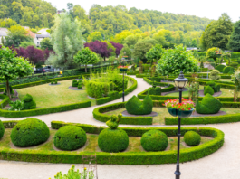 Commercial Landscape