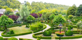 Commercial Landscape